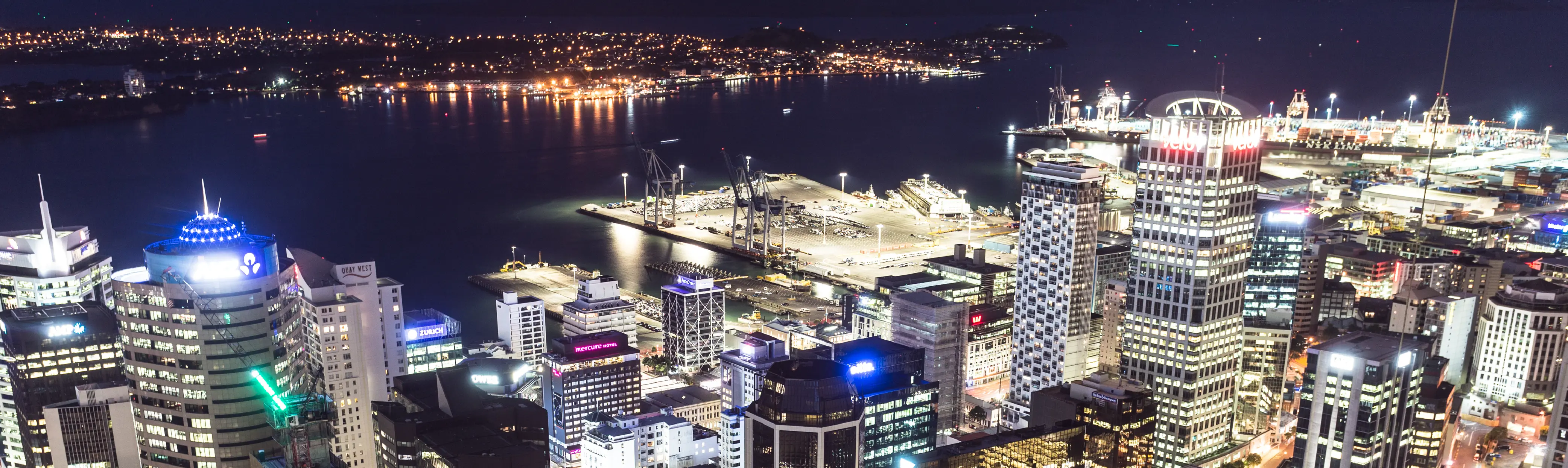 new zealand city in the night